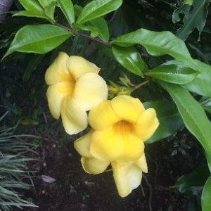 Profile Picture of Phyllis Collins (@Phyllis15070642) on Twitter