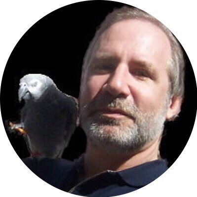 Profile Picture of Bird Sold Separately (@BobTheBirdman) on Twitter