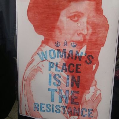 Profile Picture of Virginia Anne Larkin (@larkin_ginger) on Twitter