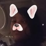 Profile Picture of julia alvarado (@juliaalvarado9534) on Instagram