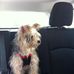 Profile Picture of Ginette Provencher (@ginette.provencher.754) on Facebook