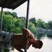 Profile Picture of Adam Elrod (@adam.elrod.14) on Facebook