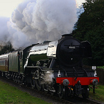 Profile Picture of Nick Large (@nicklarge77) on Flickr