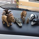 Profile Picture of ホンダ ケイコ (@koikedanho) on Instagram