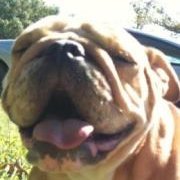 Profile Picture of Danny Hollifield (@danny.hollifield.69) on Myspace