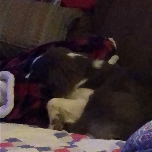 Profile Picture of Kelly Otott (@kjotott) on Poshmark