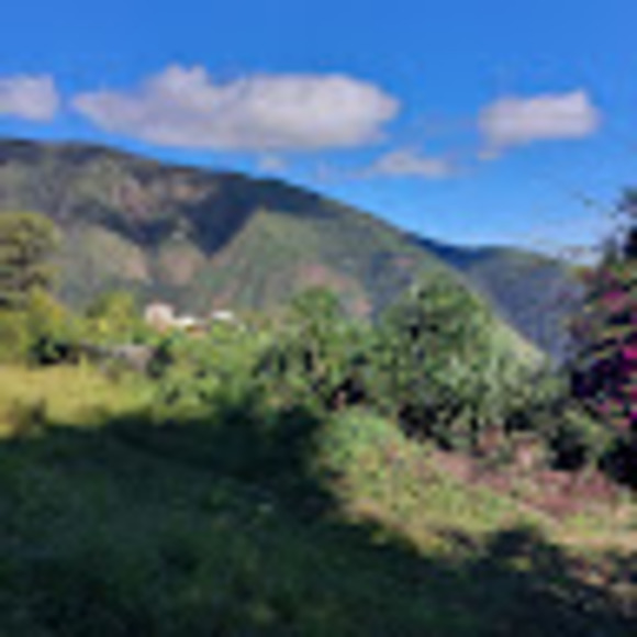 Profile Picture of Luis edwin Ortiz urgiles (@lortizurgiles) on Poshmark