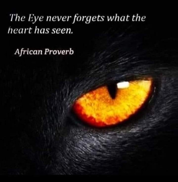 Profile Picture of Cherée Benton (@sfhuneebun) on Poshmark