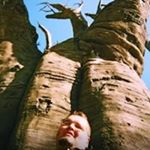 Profile Picture of Tim Stenek (@timstenek) on Instagram