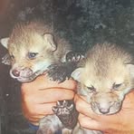 Profile Picture of Kevin Andersen (@kevin.andersen.686698) on Facebook