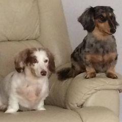 Profile Picture of Janet Bennett (@@janetbennett6) on Tiktok