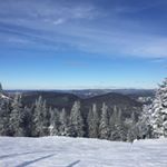 Profile Picture of Justin Villeneuve (@justinlokey) on Instagram