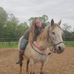 Profile Picture of Cassandra K Knipp Maldonado (@CKKStudios1) on Facebook