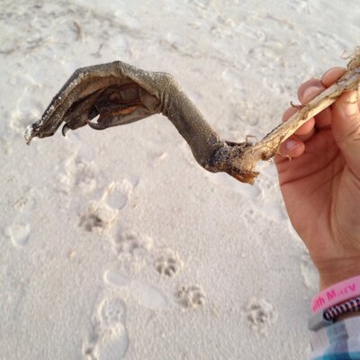 Matthew Byars - Twitter Profile Picture of Matthew Byars (@MatthewByars2) on Twitter