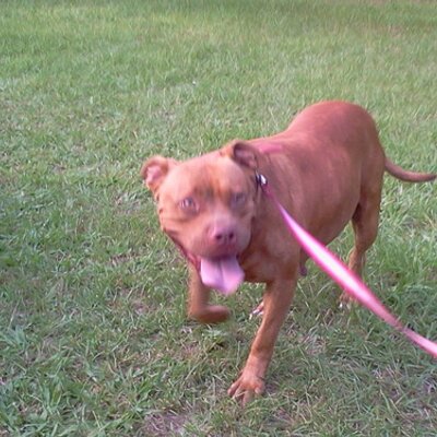 Profile Picture of Anthony Gethers (@AtTheTop91) on Twitter