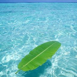 Profile Picture of Lakshmi Pillai (@laksh786reshma) on Twitter