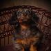 Profile Picture of Jace Hendricks (@jace.hendricks.355) on Facebook