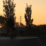 Profile Picture of Leocollins 🇳🇿 (@leoocollins_) on Instagram