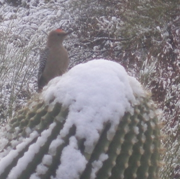 Profile Picture of Tenrab Nivek (@craigelist) on Poshmark