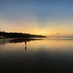 Profile Picture of William Linnell (@williamlinnell) on Instagram