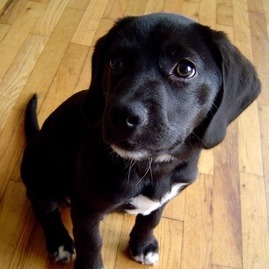 Profile Picture of Aria Case (@aria.case.1614) on Facebook