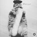 Profile Picture of Andrew Allaire (@andrew.allaire.940) on Facebook