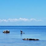 Profile Picture of Guillermo Oñate (@guillermo_onate) on Instagram