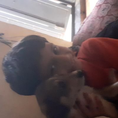 Profile Picture of Ratnamala (@Ratnama52991758) on Twitter