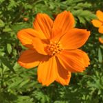 Profile Picture of K R I E G E R (@markkrieger.photography) on Instagram