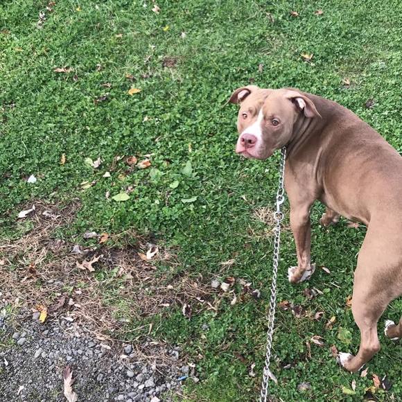 Mickey Watson - Poshmark Profile Picture of Mickey Watson (@mickeywatson555) on Poshmark