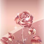 Profile Picture of Cathy Schroeder (@Cathy-Schroeder) on Facebook