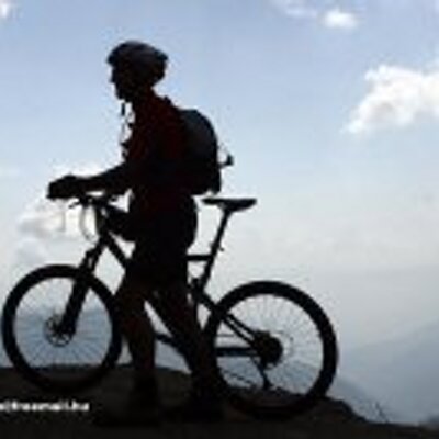 Profile Picture of Mark Leeper (@leepermark) on Twitter