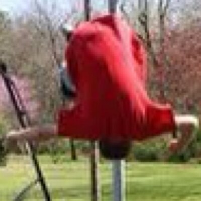 Profile Picture of Craig Luis (@craig_luis) on Twitter