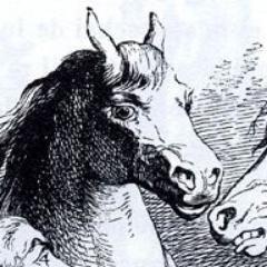 Profile Picture of 💻🐴Ngnghm (@Ngnghm) on Twitter
