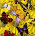Profile Picture of Shelly Edwards Glass (@shelly.edwards.3114) on Facebook