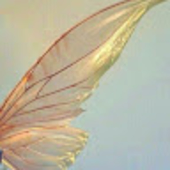 Profile Picture of Christina Grammatico (@cgrammatico) on Poshmark