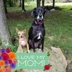 Profile Picture of Rena Cavender (@rena.cavender) on Facebook