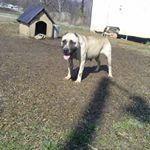 Profile Picture of kevinpeay (@peaykevin) on Instagram