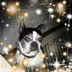 Profile Picture of Janet Haley (@janet.haley.153111) on Facebook