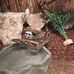 Profile Picture of Steven Jansen (@steven.jansen.73) on Facebook