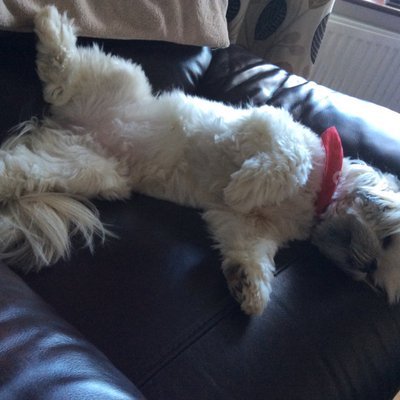 Profile Picture of Paul Maxey (@paulmaxey77) on Twitter