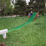 Profile Picture of Sam Switzer shreds  s.s.s (@sam.switzer.shreds) on Instagram