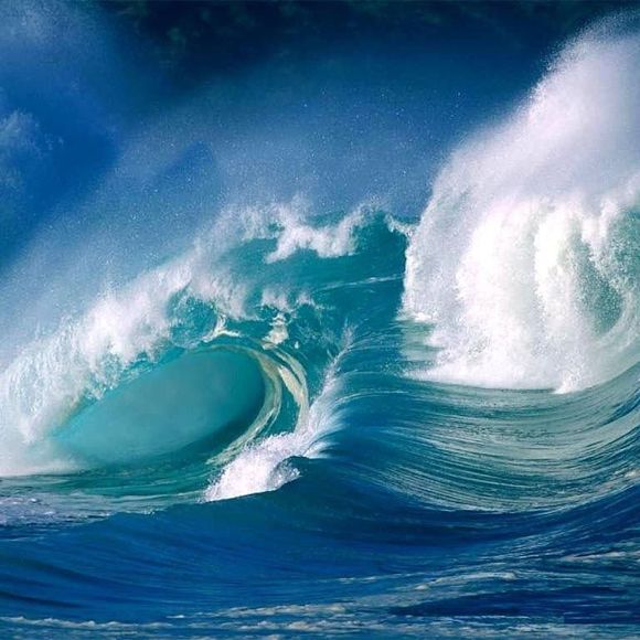 Profile Picture of Andrea Luciw (@al_yardsale) on Poshmark