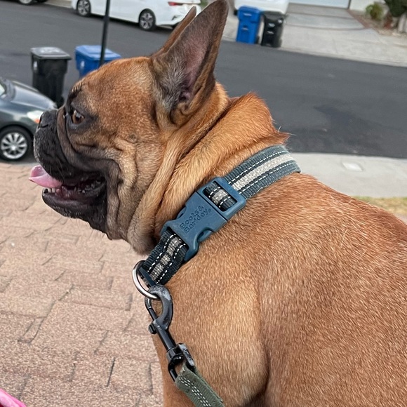 Profile Picture of Deals 4 Reals (@achildofg) on Poshmark