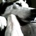 Profile Picture of Joseph Joseph Lafferty (@joseph.josephlafferty) on Facebook