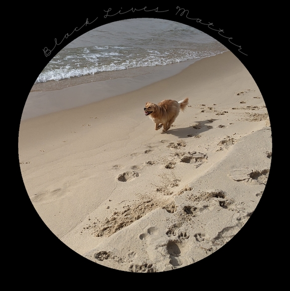 Profile Picture of Jessica Burtner (@jayburdi) on Poshmark
