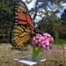 Profile Picture of Dave Conkey (@daveconkey) on Pinterest
