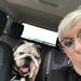 Profile Picture of Amanda Scoggin (@scogginamy) on Pinterest