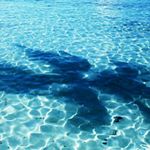 Profile Picture of Aaron Manson (@psychoticblue) on Instagram