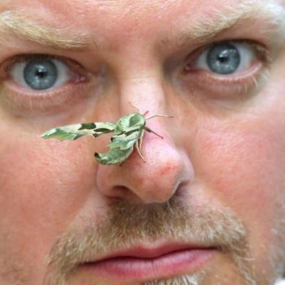 Profile Picture of James Lowen (@JLowenWildlife) on Twitter